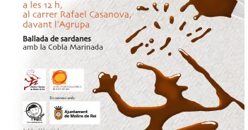 Diada del Soci 2017